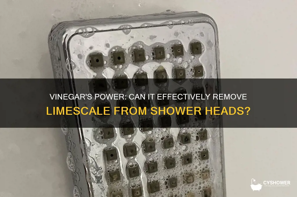 will vinegar remove limescale from shower head
