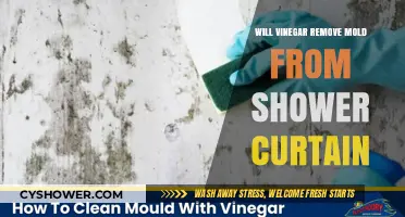 Vinegar's Power: Effective Mold Removal for Shower Curtains?