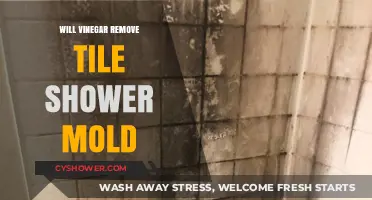 Vinegar's Power: Effective Tile Shower Mold Removal Solution Revealed