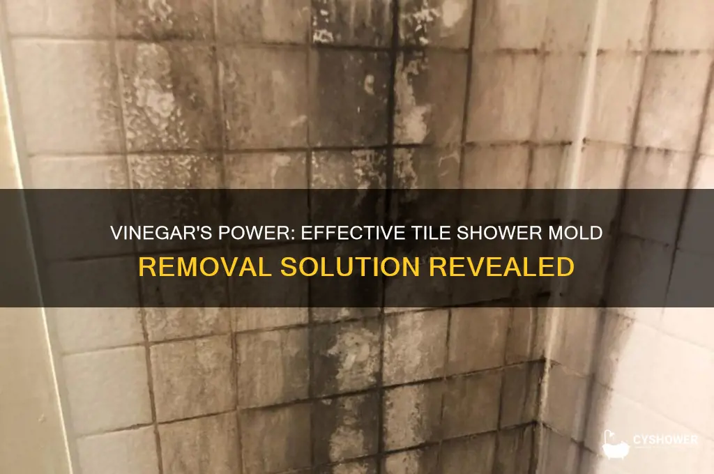 will vinegar remove tile shower mold