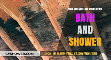 Vinegar's Power: Removing Mildew from Baths and Showers Effectively