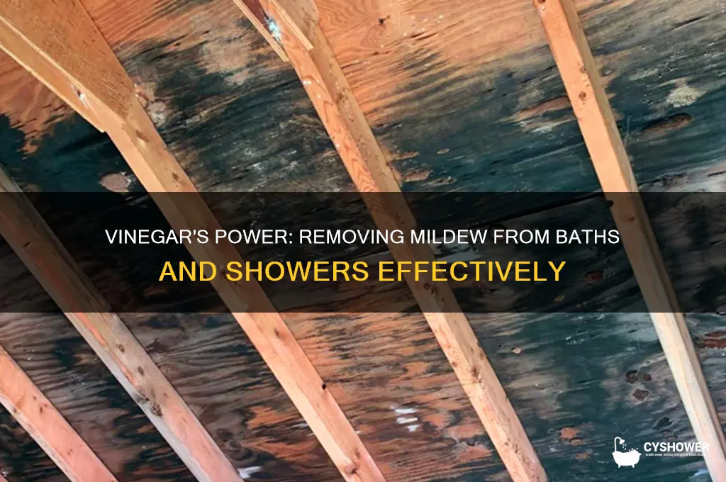 will vinegar take mildew off bath and shower