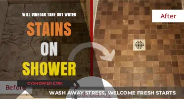 Vinegar's Power: Removing Water Stains from Your Shower Effectively
