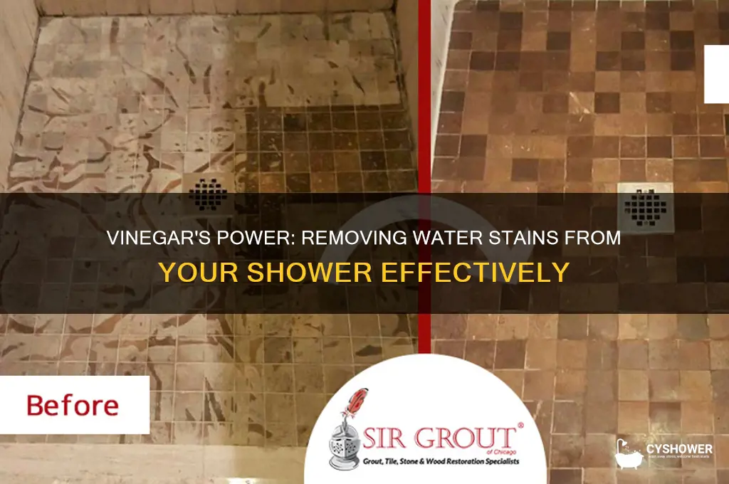 will vinegar take out water stains on shower