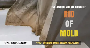 Can Washing Shower Curtains Eliminate Mold? Effective Cleaning Tips Revealed