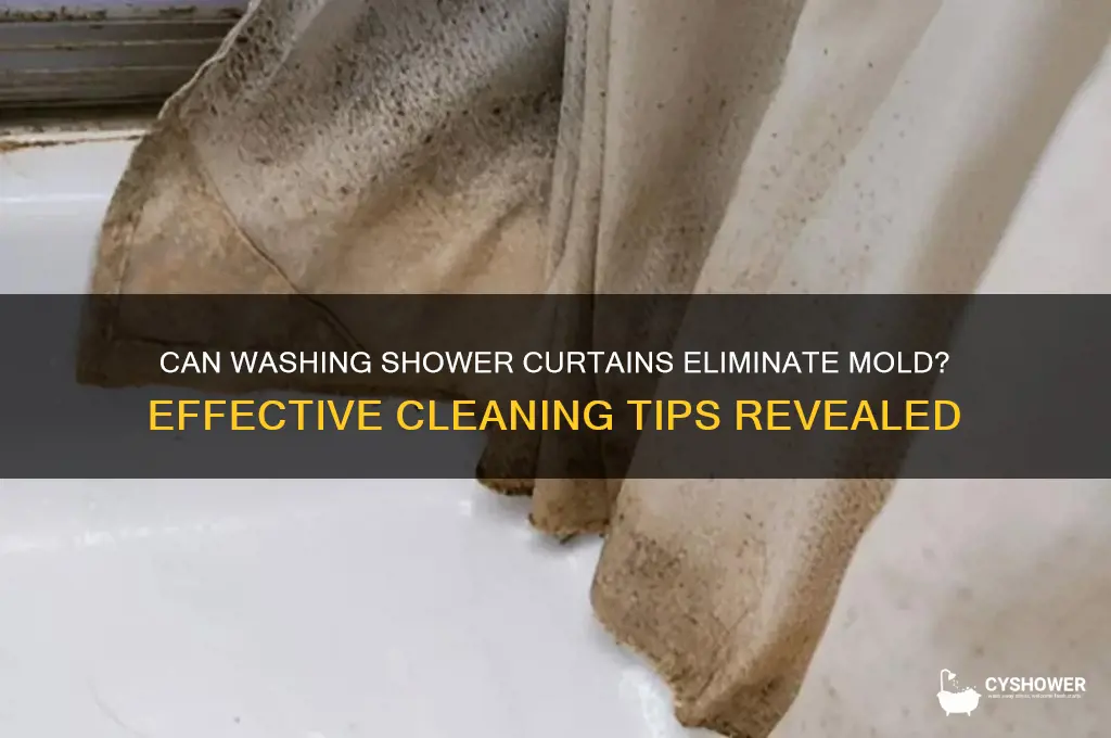 will washing a shower curtain get rid of mold