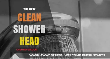 Can WD-40 Effectively Clean and Unclog Your Shower Head?