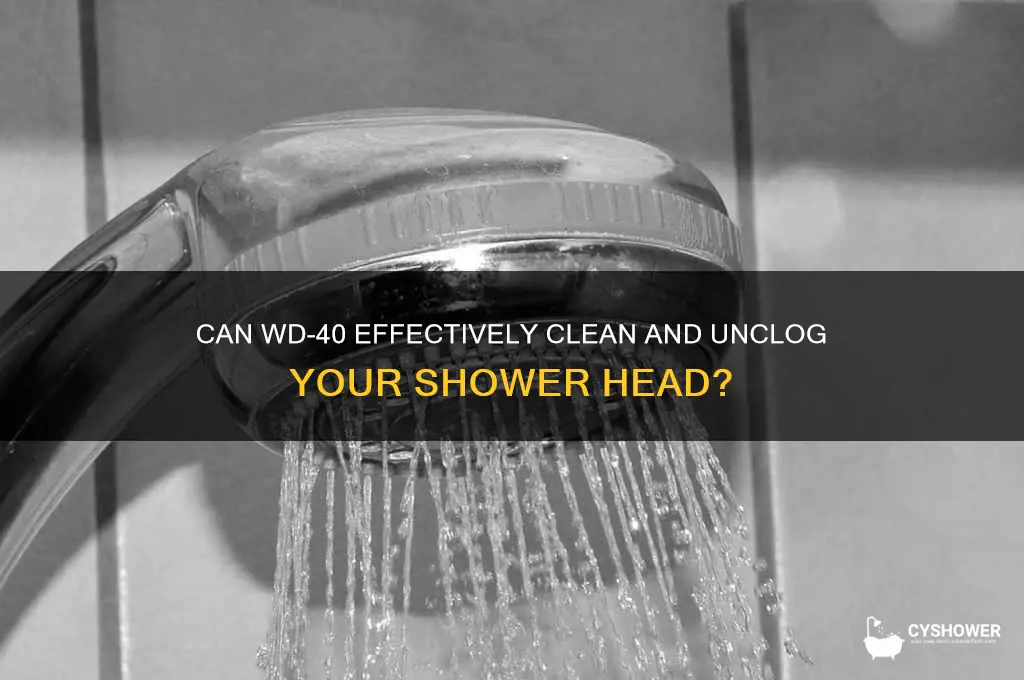 will wd40 clean shower head