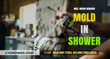 Can WD-40 Effectively Eliminate Mold in Your Shower?