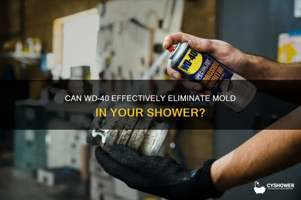 will wd40 remove mold in shower