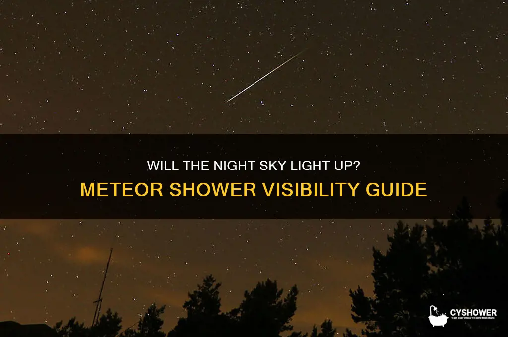 will we be able to see the meteor shower