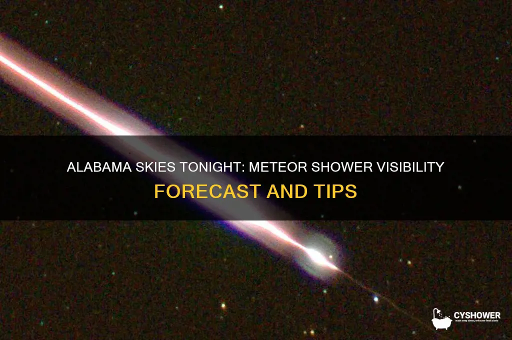 will we see the meteor shower in alabama tonight