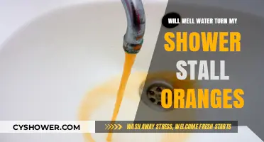 Why Well Water May Cause Orange Stains in Your Shower Stall