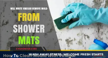 Can White Vinegar Effectively Remove Mold from Shower Mats?