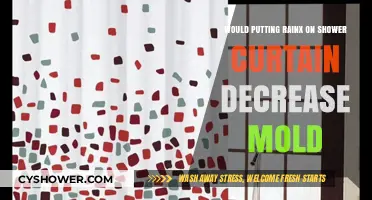 RainX on Shower Curtains: A Mold-Preventing Solution?